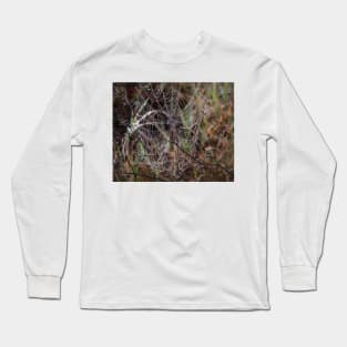 Spider Web with Water Doplets on a Foggy Morning Long Sleeve T-Shirt